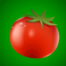 有机水果番茄蔬菜水果图片