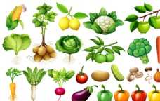 蔬菜超市蔬菜水果图片