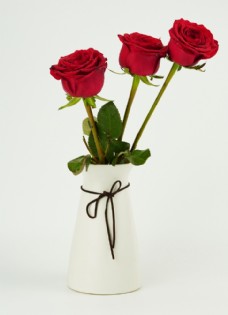 玫红色玫瑰花瓶里的玫瑰图片