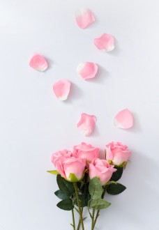 植物花卉印花粉色玫瑰花花束花瓣图片
