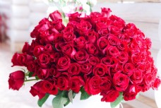 最美玫瑰花束图片