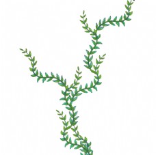 绿色藤蔓植物元素图片