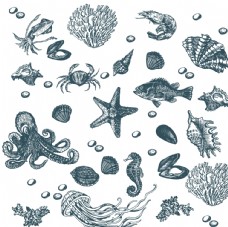 创意画册海鱼海洋海底世界各种鱼图片