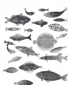 画册封面背景海鱼海洋海底世界各种鱼图片