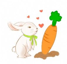 飞鸟兔子胡萝卜插画图片
