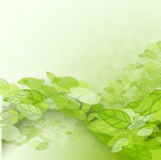 图片素材绿色树叶背景图片