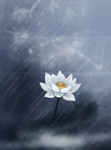 雨花雨夜的一只莲花图片