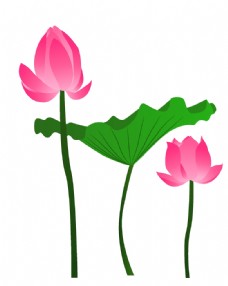 中国风设计粉色清新水墨插画荷花荷叶中国风图片