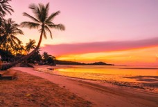 沙发背景墙夕阳下的海岸线椰树装饰背景摄影图片