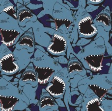 画册设计鲨鱼海洋海底世界各种鱼图片