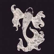 排版设计中国风锦鲤观赏鱼水族馆图片