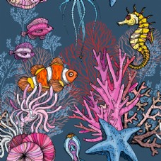 女童印花海草海洋海底世界各种鱼图片
