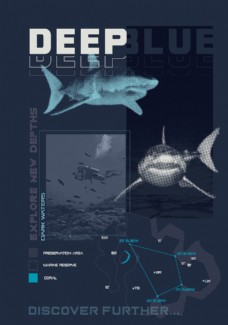 创意画册鲨鱼海洋海底世界各种鱼图片
