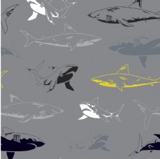 排版设计鲨鱼海洋海底世界各种鱼图片