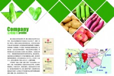 产品画册农产品彩页图片