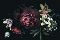 花饰黑暗中的牡丹百合花暗色装饰背景图片