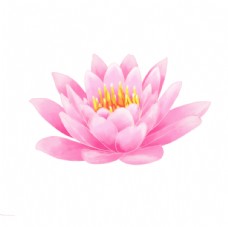 粉色手绘莲花素材图片