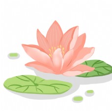 手绘莲花莲叶图片