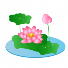 唯美插画手绘水植物唯美粉色荷花插画图片