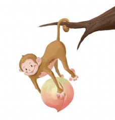 挂画倒挂疏枝抱桃子的猴子插画图片