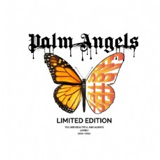 背景墙蝴蝶昆虫T恤图案排版设计图片