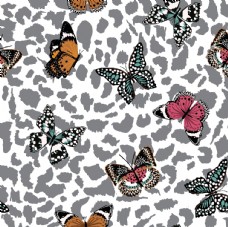 女童印花蝴蝶昆虫T恤图案排版设计图片