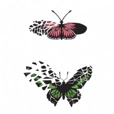 昆虫蝴蝶蝴蝶昆虫T恤图案排版设计图片