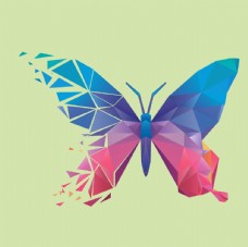 背景墙蝴蝶昆虫T恤图案排版设计图片