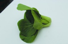 绿色蔬菜蔬菜瓢耳白瓢耳菜图片