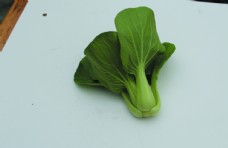 绿色蔬菜蔬菜瓢耳白图片