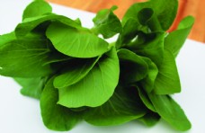 绿色蔬菜蔬菜瓢耳菜瓢耳白图片