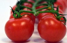 绿色蔬菜红彤彤的的西红柿图片
