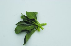 绿色蔬菜蔬菜菜苔白菜图片