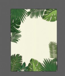 欧美装饰画热带树叶背景图片
