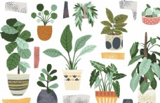 SPA插图居家植物盆栽矢量插图图片