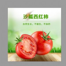 淘宝海报西红柿主图图片