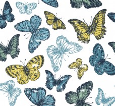 墙纸蝴蝶昆虫T恤图案排版设计图片
