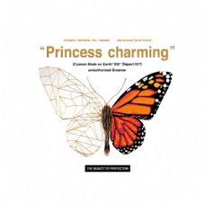 女童印花蝴蝶昆虫T恤图案排版设计图片