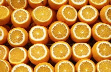 展板橙子图片