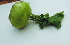 绿色蔬菜蔬菜苤兰图片