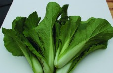 绿色蔬菜蔬菜白菜图片