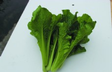 绿色蔬菜蔬菜白菜图片