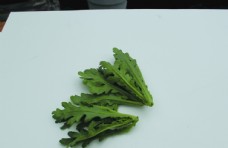 绿色蔬菜蔬菜茼蒿图片