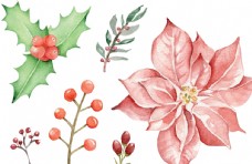 节日花朵圣诞桂皮与树叶图片