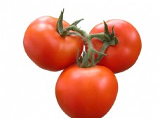 蔬菜西红柿番茄免抠图图片