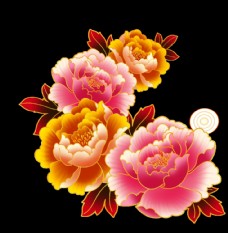 花卉牡丹花插画素材图片