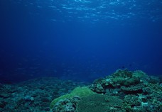 景观水景海底世界图片