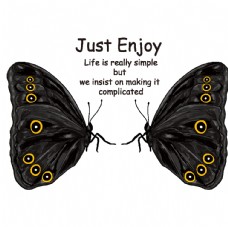 创意画册蝴蝶昆虫T恤图案排版设计图片