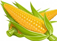 蔬菜矢量玉米手绘图片