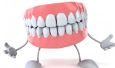 牙齿模型图片